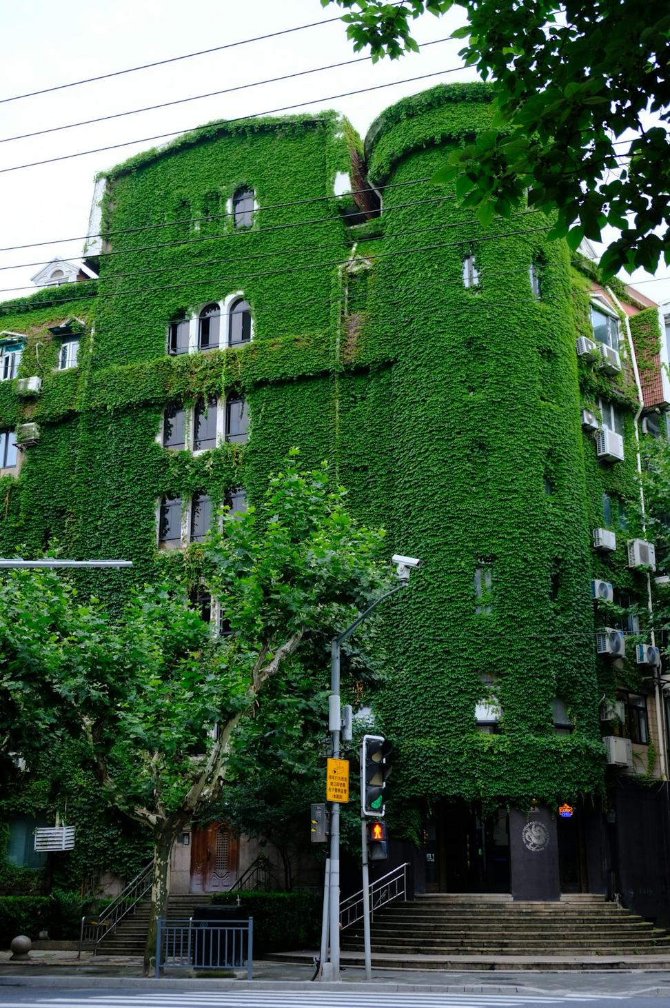 Harbourfront Green Office